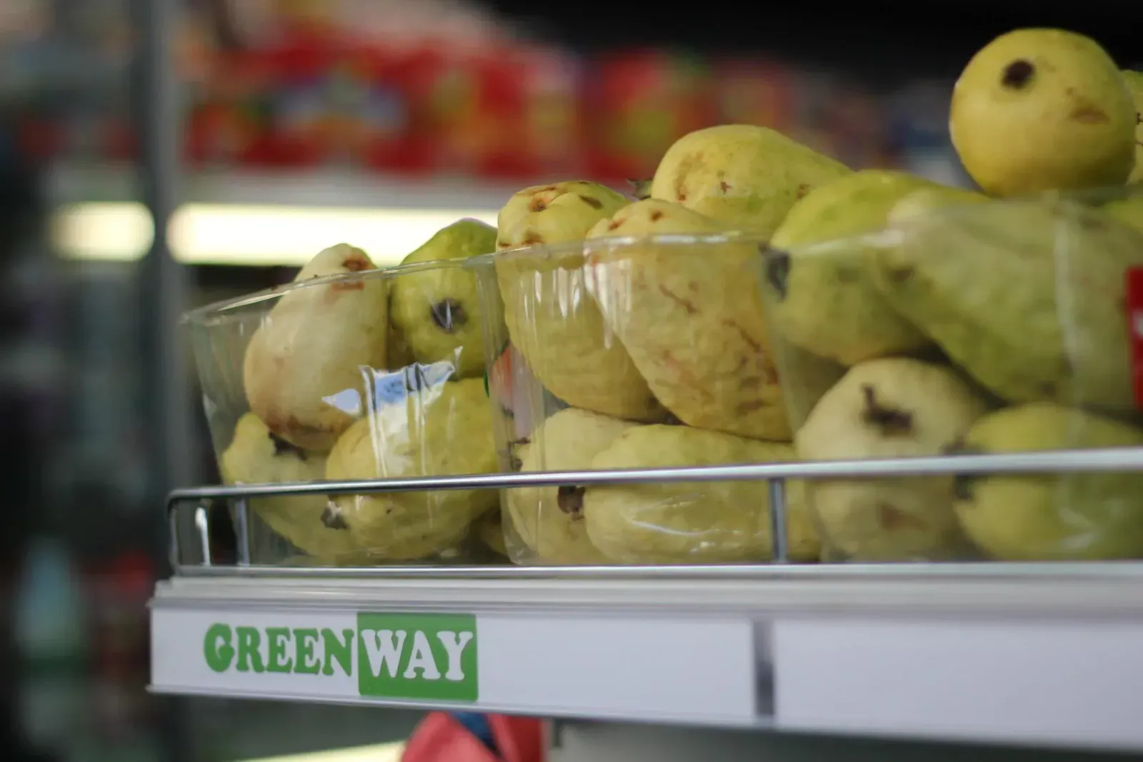 Green Way - 12